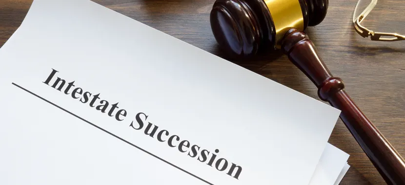 Alexandria, LA Intestate Succession Lawyer-image