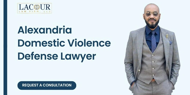best domestic violence defense lawyer in alexandria