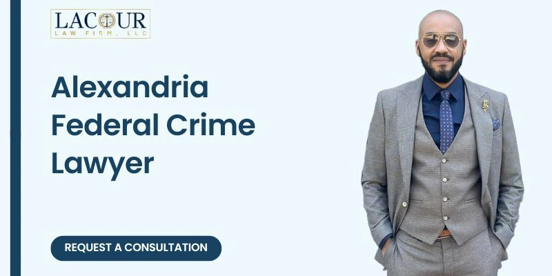 best federal crime lawyer in alexandria