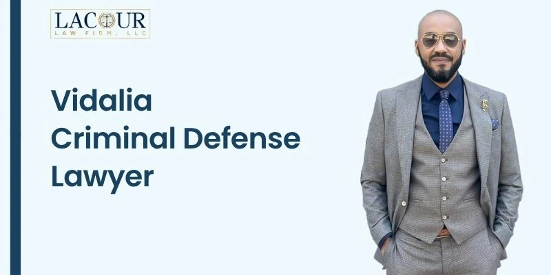 top criminal defense lawyer in vidalia top criminal defense lawyer in vidalia